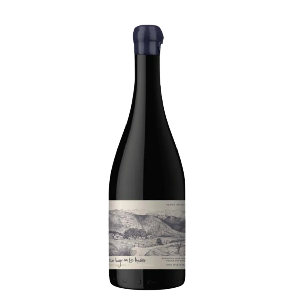 Un Lugar en los Andes Malbec 2021