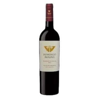 Domingo Molina Cabernet Sauvignon 2020