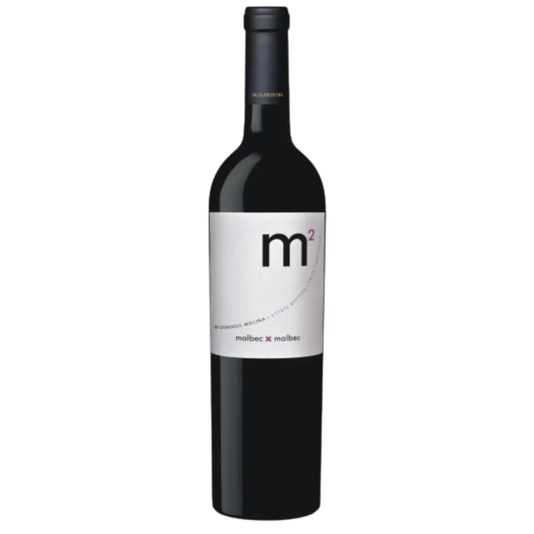 Domingo Molina M2 2016